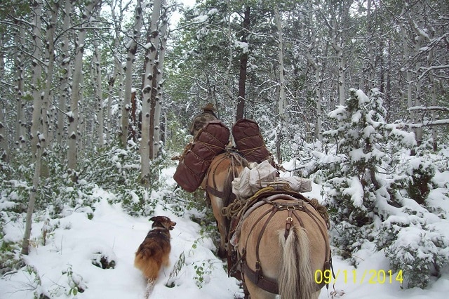 Elk Hunt 2014 Snow